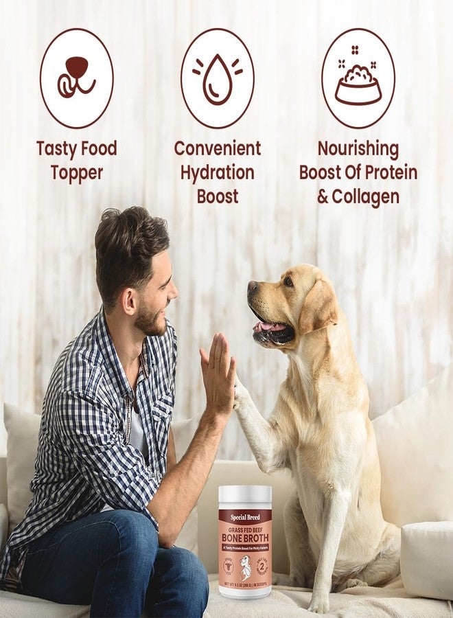 Special Breed Bone Broth Powder for Dogs and Cats - Dog and Cat Food Topper, Grass Fed Beef Broth Supplement, 9.5 oz - Image 3